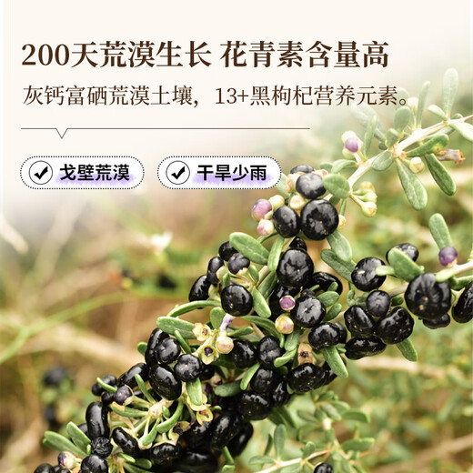 Tongrentang (TRT) Black Wolfberry Authentic Qinghai Qaidam Comida instantánea sin lavar el cabello Té de salud de frutas grandes para ancianos 70G/Can