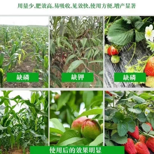 Agricultural Potassium Sulfate General Fertilizer for Fruit Trees and Vegetables Fully Water-soluble Potassium Fertilizer Nutritional Quick-acting Potassium Sulfate 50kg 5Jin Jin equals 0.5kg Packed