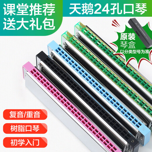 Jiaoyun Harmonic Estudiantes Estudiantes de 24 hoyos Introducción a los adultos polifónicos de los niños Acento C Oral Oral Oral Instrument [10 hoyos Blues] Plata+