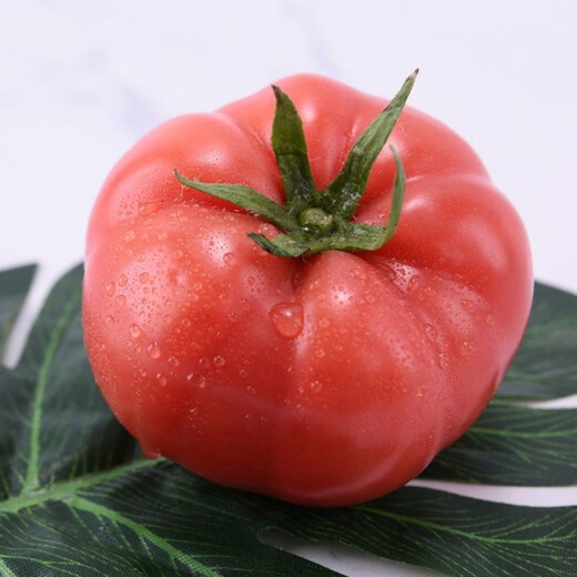 Provence Tomato Seeds Tomato Seeds Imported from the Netherlands, a good-tasting, high-yield sowing variety for all seasons Provence Tomato Seeds (New Product) 20 capsules