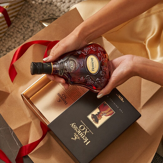 轩尼诗（Hennessy）【官方直营】轩尼诗XO干邑白兰地 1500mL 2瓶 法国进口洋酒