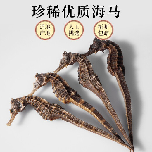 Qi Xiaofeng Haima Médicaments médicinaux [certification CAWC] Grand cheval de mer mâle et femelle une paire de biens secs Haima Hailong combinant du vin matériaux médicinaux 1 paire 2 (total supérieur à 6g)