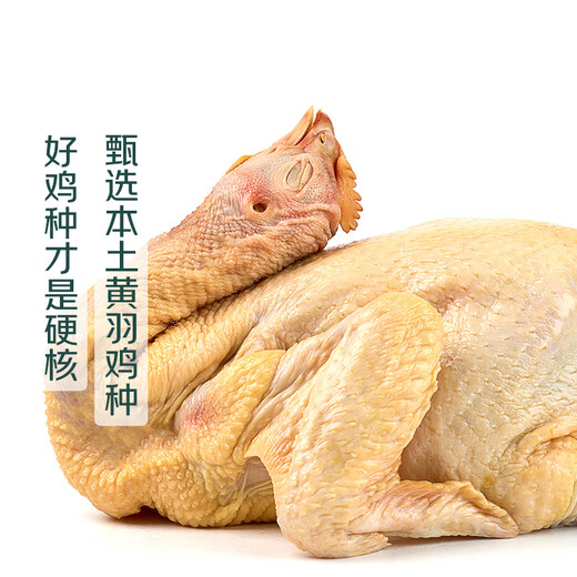 Wen's Yellow Chicken 900g