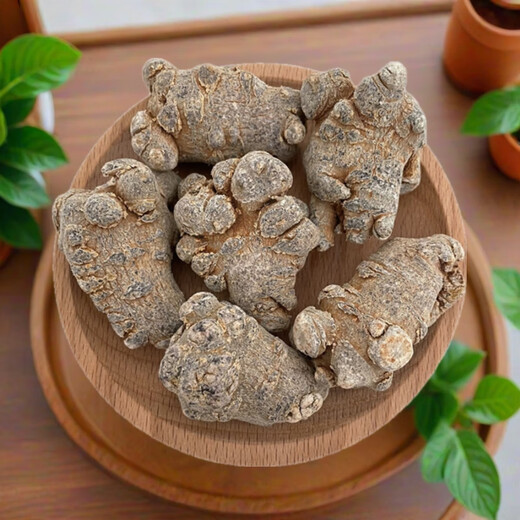 Kang Yuzun Panax Notoginseng Yunnan Panax NotoginSeng Tabletten ohne Schnitte Tianqi [15 Panax Notoginseng Tabletten ohne Schnitte 500 Gramm Medizin Effekt King]