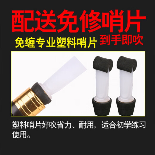 LNGA LANDGRE演奏级乌木管子降大大调初学者管子乐器催泪管 黄铜箍调管子1支+8 黄铜箍C调1支+8