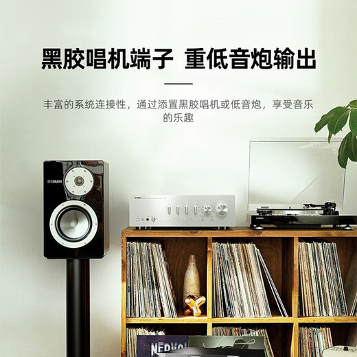 Yamaha (YAMAHA) R-S202 high-fidelity fever amplifier HIFI stereo 2.0 amplifier TV computer living room home amplifier R-S202