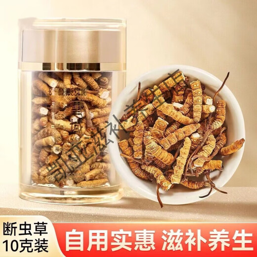 Peking Tongrentang Authentische Cordyceps 10 Geschenkboxen im Jahr 2024 Erster tibetaner Cordyceps Cordyceps Sinensis 0,5 Gramm Cordyceps König 20 [10 Gramm insgesamt] Geschenk in Dosen eingeschlägt
