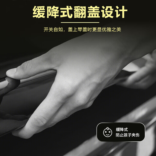 Xinghai Bachdorf piano piano imported from Germany new 88 key vertical piano BU-118