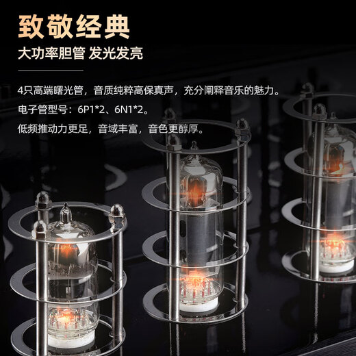诺普声（Nobsound）MS-10D发烧胆机电子管功放放大器hifi立体声蓝牙功放机 黑色MS-10D 经典款