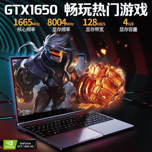 IRU [CORE I9 + Independent Graphics Card GTX1650] Neues Produkt 16,1-Zoll-Octa-Core-Hochleistungs-Gaming-Laptop Live-Broadcast-Laptop High-End Thin und Light Office E-Sportbook Notebook Core i9-9880H + 4G Independent Graphic