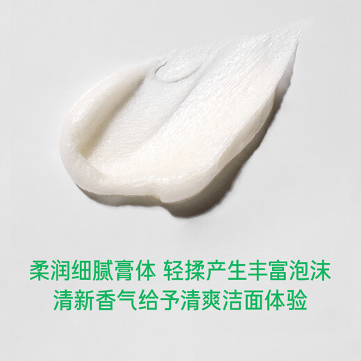 Innisfree Forest Men's Oil Control Foam Facial Cleanser Hydrating Moisturizing Refreshing Cleansing Soothing Not Tightening Amino Acid Facial Cleanser