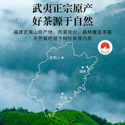 鸿韵清新乌龙茶岩茶老枞水仙武夷山特级茶叶漳平父亲节送礼盒装小泡袋512g