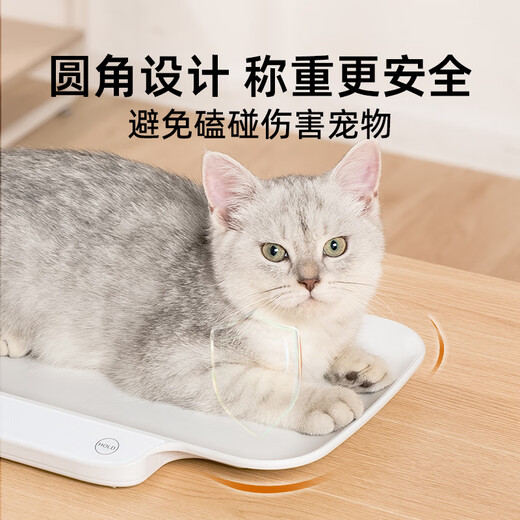 Meilen PET -Skala Baby Skala hohe Präzisionswägchen für elektronische Skala menschlicher Körper Neugeborenen Baby -Skala -Höhenweilsskala mit Skala Kätzchen Hamster - kleine PET -Skala