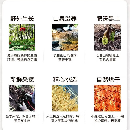 618 Super Pâques Changbaishan Ginseng Environ 30 ans, ginseng forestier sous le ginseng forestier sous la forêt sauvage ginseng élaging Health Gift Soup Soupcing and trempe ingrédients de vin Changbaishan Ginseng [âgé d'environ 30 ans] 4 pièces APPACK