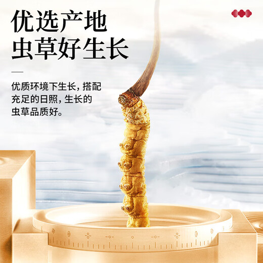 Lei Yun est allé au magasin phare Cordyceps sinensis Cordyceps Goods secs de haute qualité et tonics haut de gamme Cordyceps Sinensis 20g [Effectif élevé pour votre propre usage]