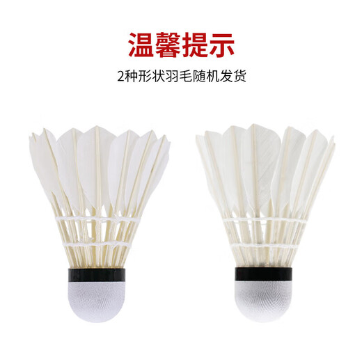 红双喜DHS羽毛球比赛耐打复合软木鹅毛羽毛球12只装EG12