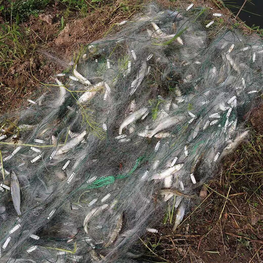 Chaosihui single-layer three-layer sticky fishing net floating net sunken net weighted wire mesh hanging fish net crucian carp white strip net three-layer 1 finger 1.2 meters high 40 meters long weighted sunken net