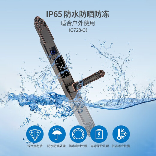 Singea思歌庭院户外双面防水指纹锁别墅大门双开密码锁门禁遥控智能门锁 C728E-青春灰 单面 包安装