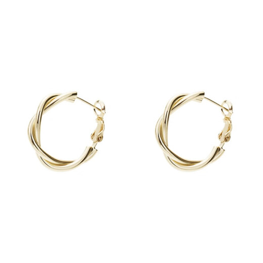 AJIDOU Ajidou earrings high-end niche design hoop earrings double braided earrings personalized earrings birthday