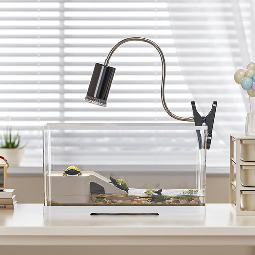 Pamper your turtle tank, eco-tank, pet breeding box, fish tank, plastic transparent newt, special for crawling pets, white model