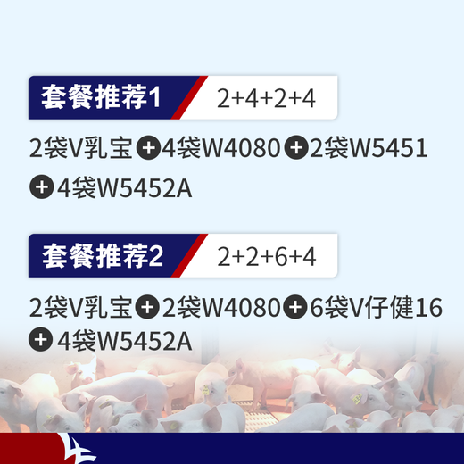 ELLHOPE Xi'an Hefeng pig feed 4% piglet premix W5451 high lysine organic carrier for pig farms 20kg