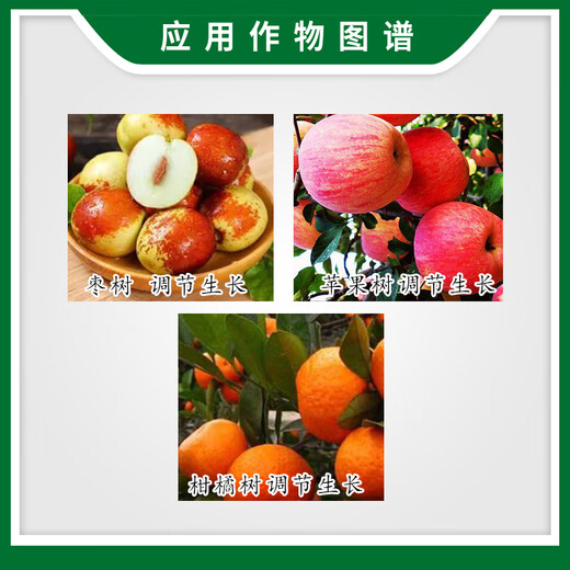 Xinruifeng Guoqi 3.6% benzylamine gibberellus jujube citrus apple tree plant growth regulator 100ml