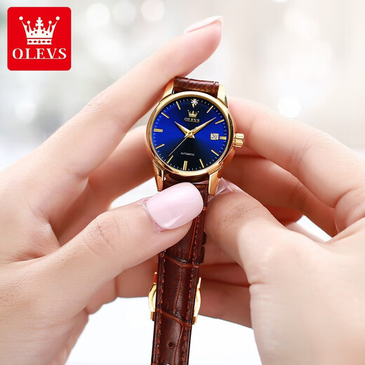 Olevs Swiss Certified Brand Watch Women's Vollautomatische mechanische Uhr Luminous Water of Women's Watch Einfaches Temperament Licht Luxus Frauen Uhr OLEVS-6629 Women-Brown Leder Blue Face