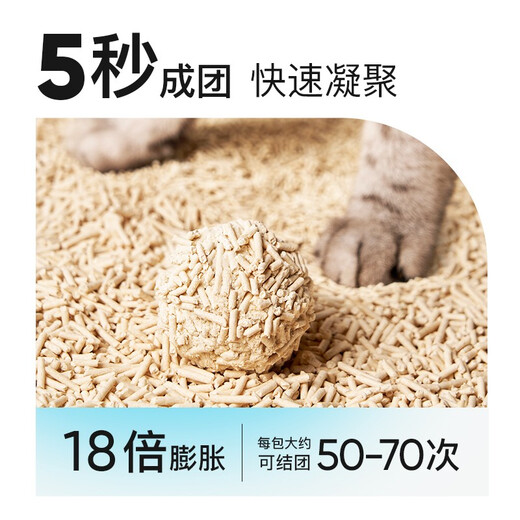 Lorde Pure Tofu Sand Classic Cat Matt