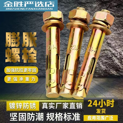 CLCEY国标膨胀螺丝小头带孔彩锌胀栓防盗门专用加长膨胀螺丝 M12*12040支14号钻头打孔 送