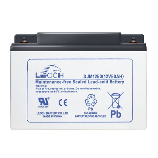 Leoch battery lead-acid maintenance-free battery DJW12 series 12V battery UPS/EPS power supply communication base station energy storage DJW12-24S (12V24AH)