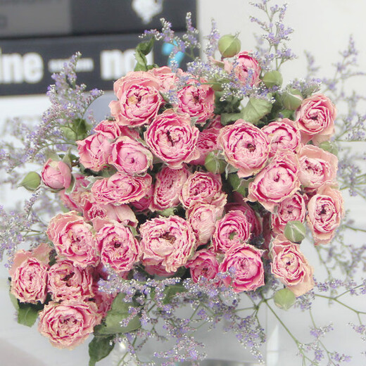 Love Yunnan Natural Rose Dried Flower Bouquet Living Room Decoration Lucky Rose Dried Flower Real Flower Decorative Ornaments Air-dried and Roasted Romantic Bubbles About 30 Heads