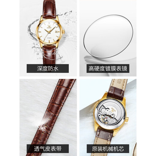 
Oliver Switzerland certified brand new watches for 2025 for women's mechanical watches, light luxury niche women's watches, top ten thin belts, upgraded version-6629 brown leather room blue women ()