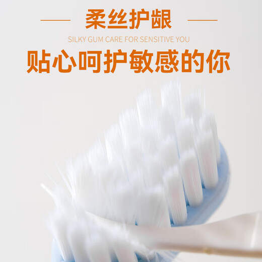 Doctor Teeth Fantasy Sea Gum Protection Soft-bristled Adult Toothbrush 6-Pack Family Pack