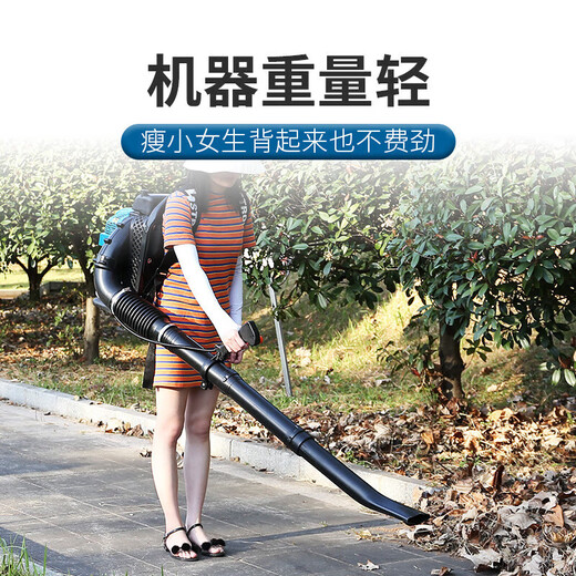 XMSJ背负式汽油吹风机工程路政鼓风机风力灭火道路清扫机吹雪 二冲程高配EB9757.0马力