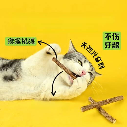 SMVP Muten Polygonum Teething Stick Cat Mint Cat Special Kitten Self-Happiness Artifact Kitten Chewing Kitten gnawing Funny Cat Supplies 20 Muten Polygonum Thick Sticks