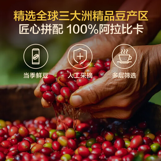 One s Member IIAC Sweet Dark Roast Fantasy Gold Award Coffee Beans 500g Dark Roast Premium Concentrated Hand-brewed Black Coffee