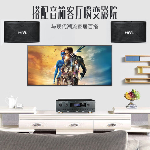 惠威Hivi_惠威 HA-8300卡包功放双混响K歌效果调节卡拉OK功放机250W 250W+250W