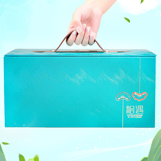 Mengchamei Alpine Yunwu Green Tea 250g*2 cans new tea first-grade strong fragrance tea gift box