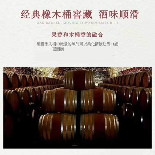 Rafathini Französisch XO Brandy Classic importierten Originalwein -Alkohol Ration Bar Bar Mix 40 Grad 500 ml 40 Grad 500 ml 1 Flasche