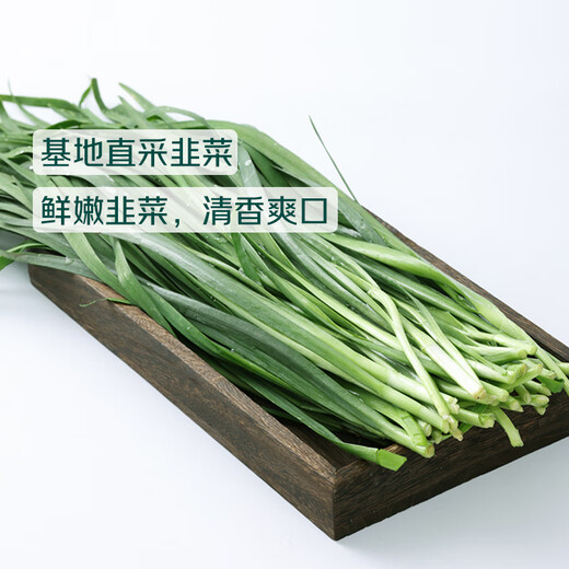 Qixian steamable Qixian leek and egg dumplings 504g (24 pieces)