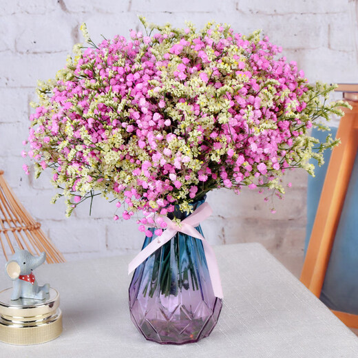 AIMAN Gypsophila Natural Dried Flower Bouquet Ins Internet Celebrity Birthday New House Decorative Ornaments Air-Dried Real Flower Arrangements Home Furnishings Purple Gypsophila With M Vase