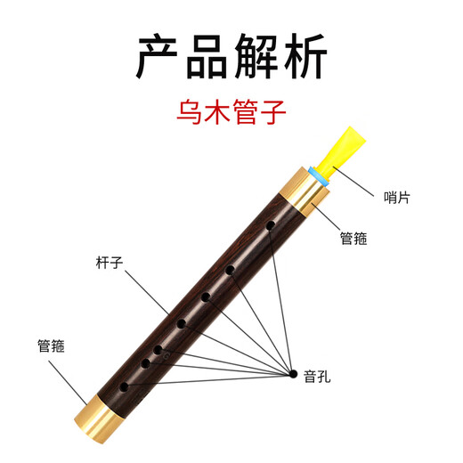新艺（xinyi）乌木管子乐器催泪管单管初学者成人演奏厂家直销筚篥管乐 乌木D调+8大