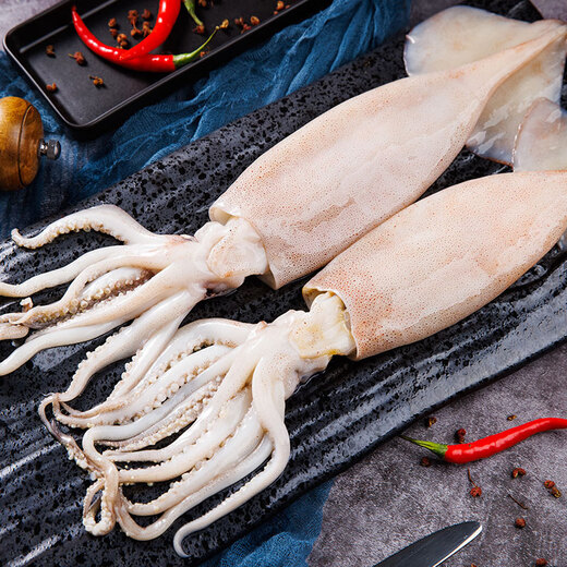 Mega fresh frozen whole large squid (2-3 pieces) net weight 550g whole squid deep sea fishing