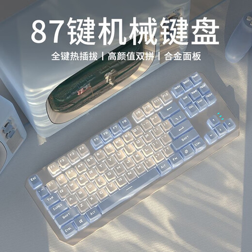 前行者TK870有线机械键盘游戏办公键盘拼色RGB侧光灯有线87键客制化热插拔游戏电竞台式电脑笔记本办 白蓝-白光【全键热插拔】有线