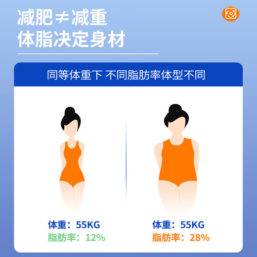 TCL Weight Skala Intelligent Body Fett Skala Haushalt kleiner Präzision elektronischer Skala menschlicher Gesundheitsmesser Gewichtsverlust USB-Lademodell [Weiß] 81 Körperfetttests/Präzision 0,05 kg/Raumtemperaturmessung