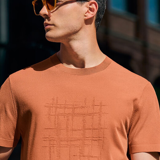Mr. Cloth abstract pattern jacquard knitted T men's clothing spring and summer new cool ice yarn short-sleeved AT12109 warm brick red L (175)