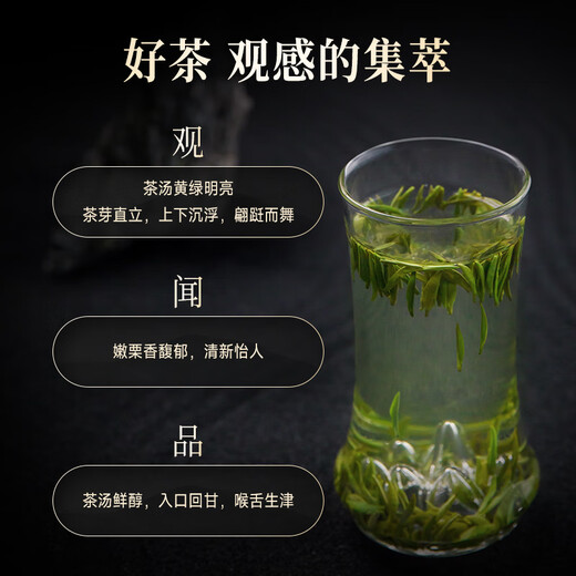 竹叶青绿茶论道 峨眉山春茶2025新茶特级120g 明前茶叶礼盒12001