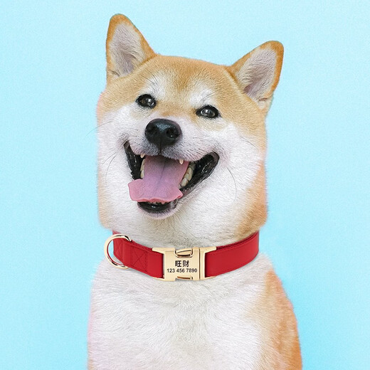 DidogPet pet collar full dog neck ring dog brand custom lettering anti-lost dog collar dog leash explosion-proof traction set chocolate traction set please leave a message for lettering M-reference weight 18-50Jin [Jin equals 0.5 kg]