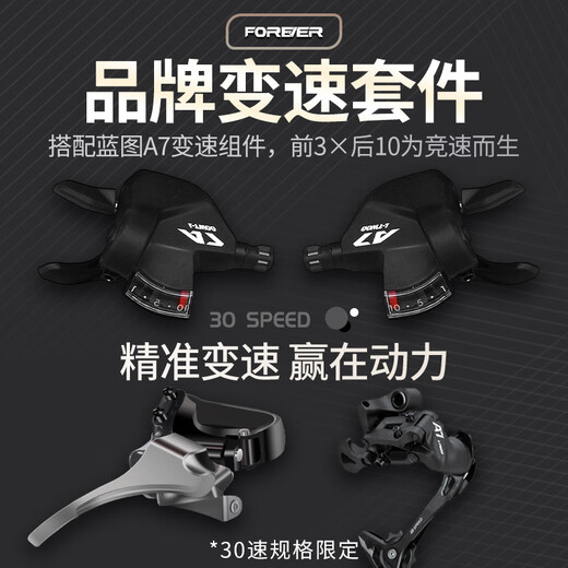 永久（FOREVER）RS600入门公路自行车碟刹变速自行车男女学生公路车竞技代步车 流光银 700C 27速