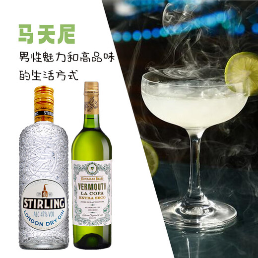 欧帅六大基酒组合 鸡尾酒调酒套装 威士忌 龙舌兰 金酒花式调酒搭配 马天尼鸡尾酒套装700mL2瓶